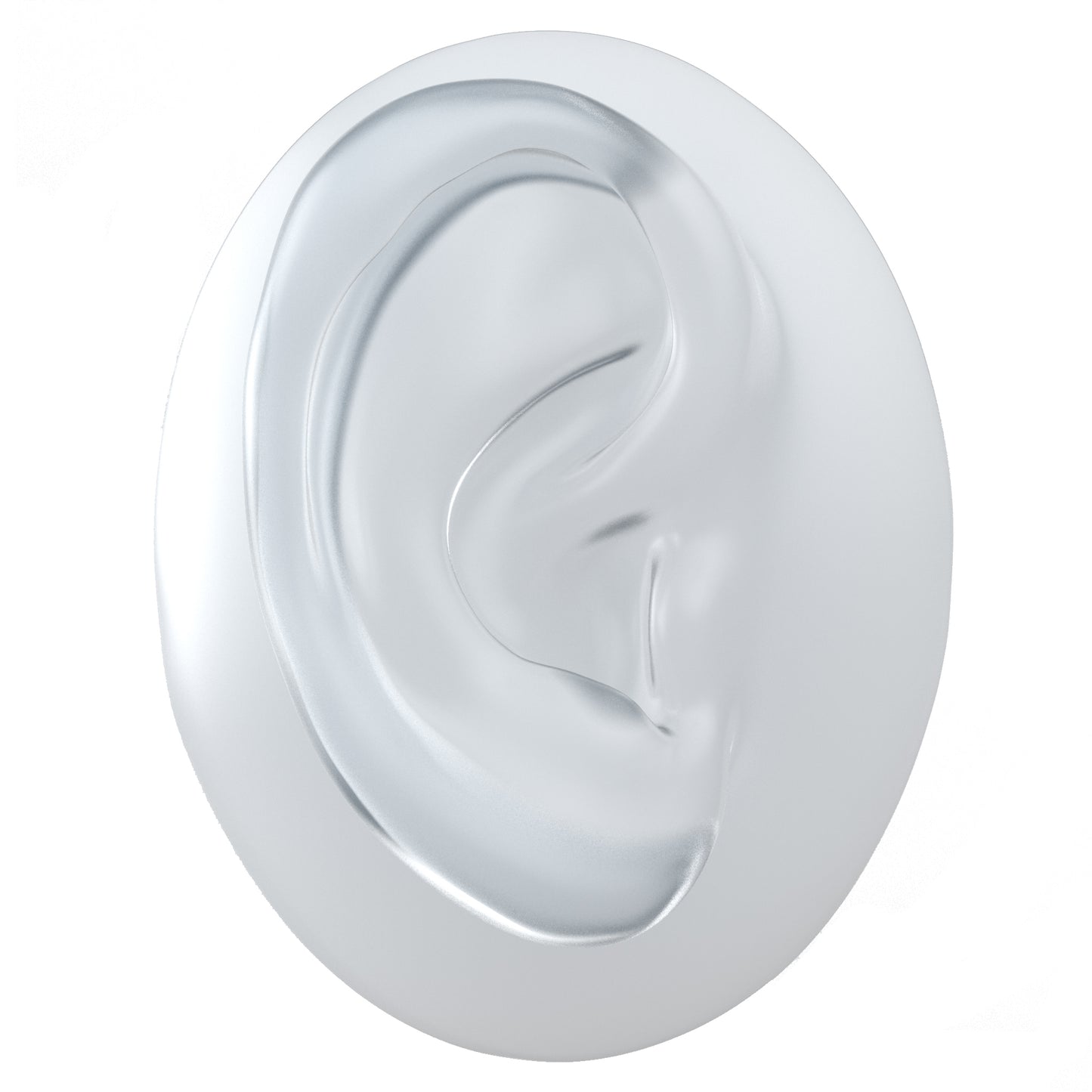 human ear