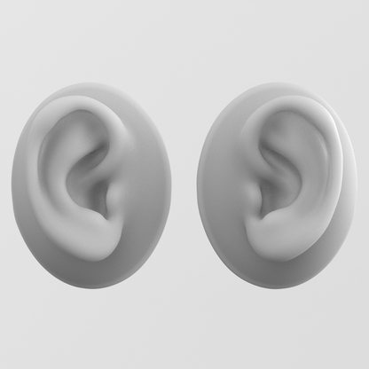 human ear