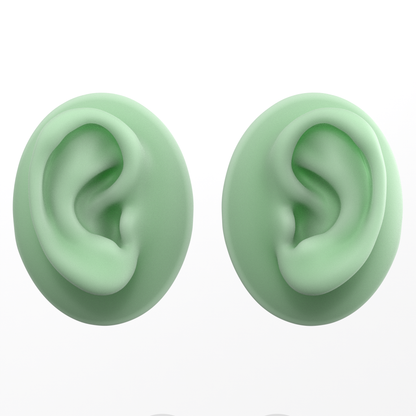 human ear