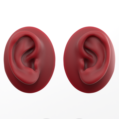 human ear