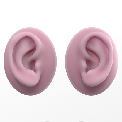 human ear