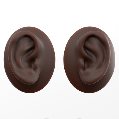 human ear