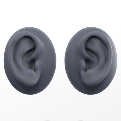 human ear