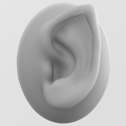 half elf ear