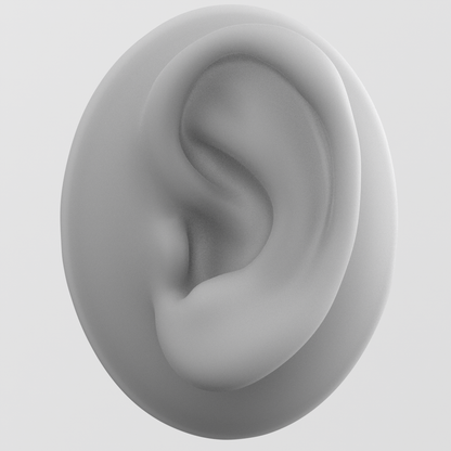 human ear