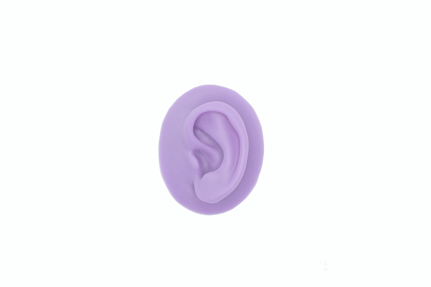 human ear