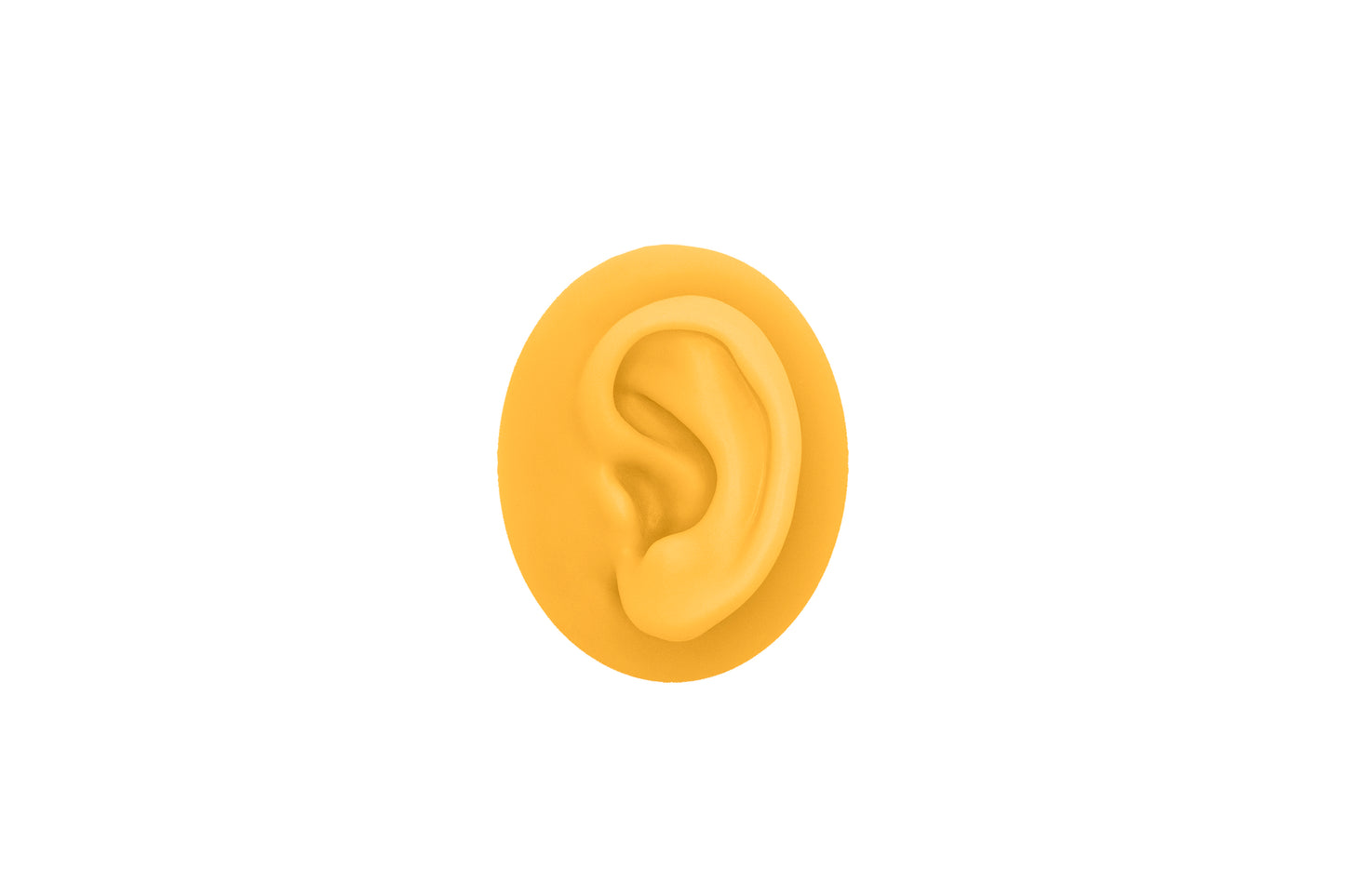 human ear