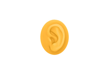 human ear