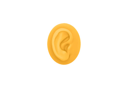 human ear