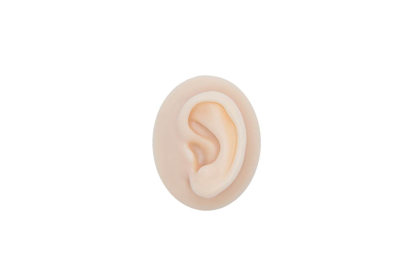 human ear