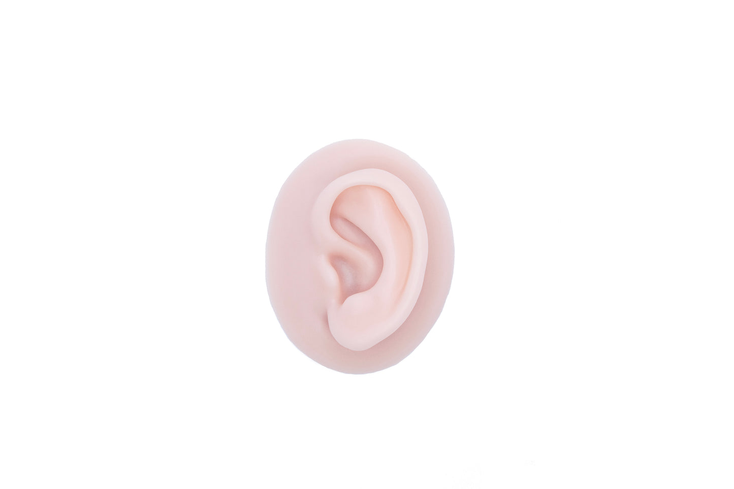 human ear