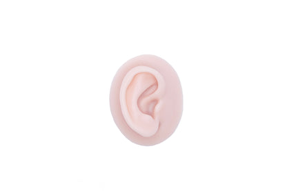 human ear