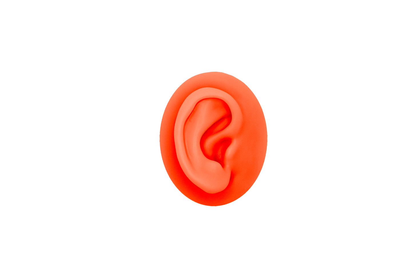 human ear