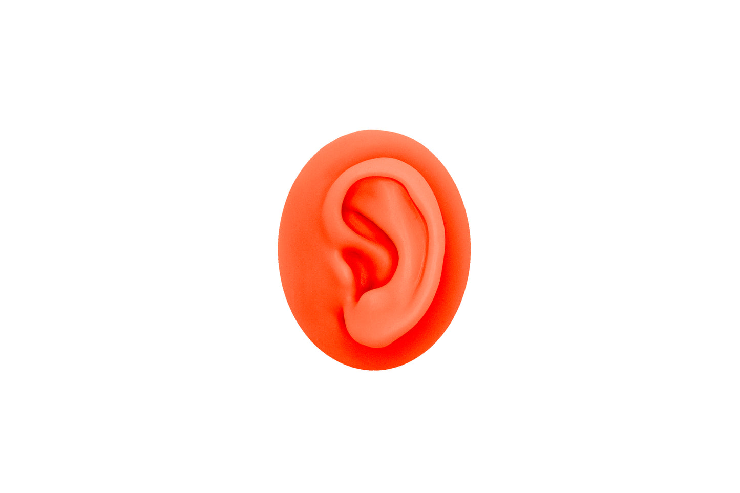 human ear