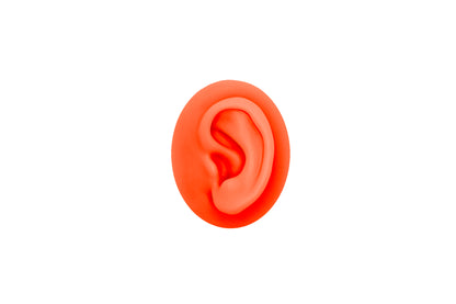 human ear