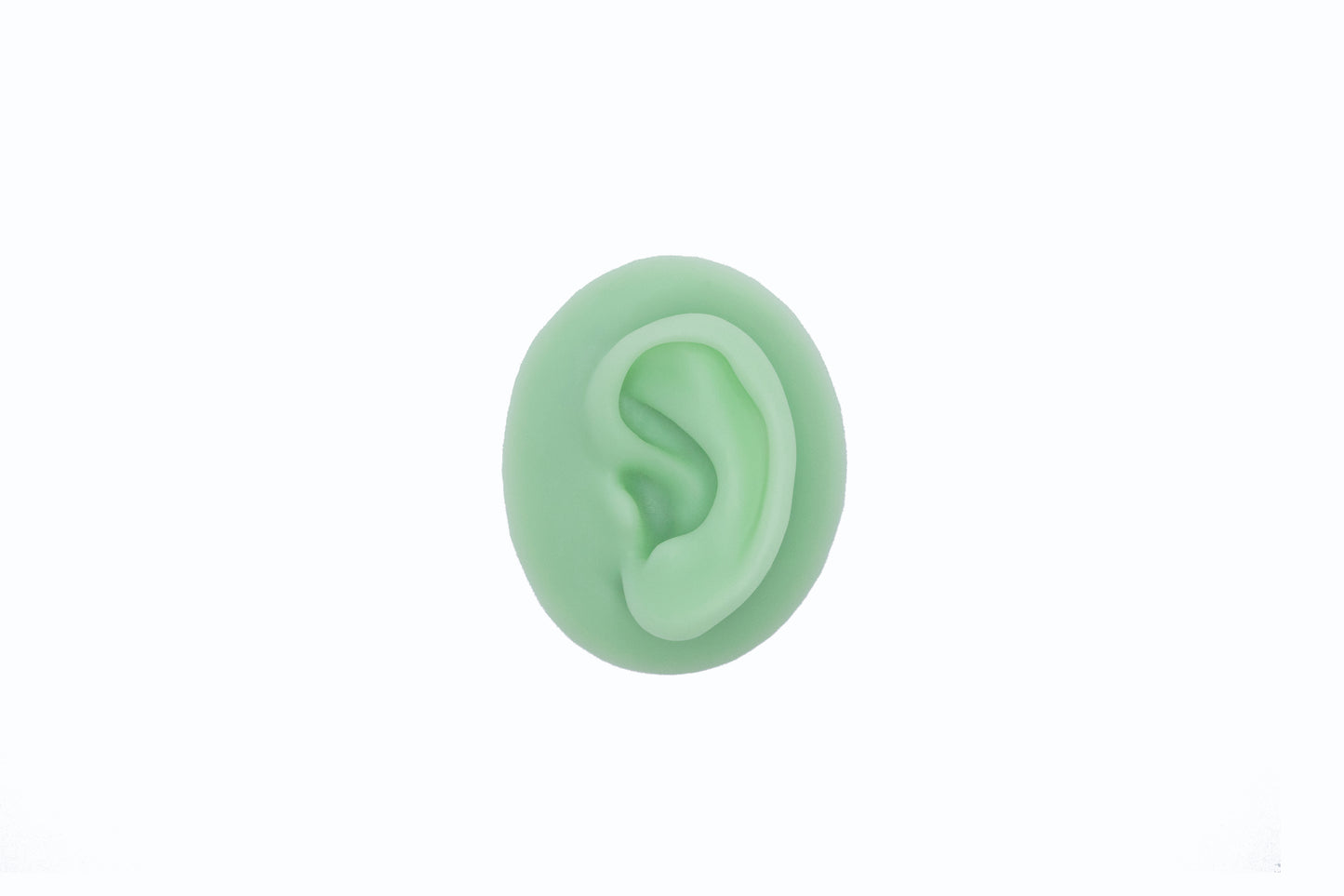 human ear