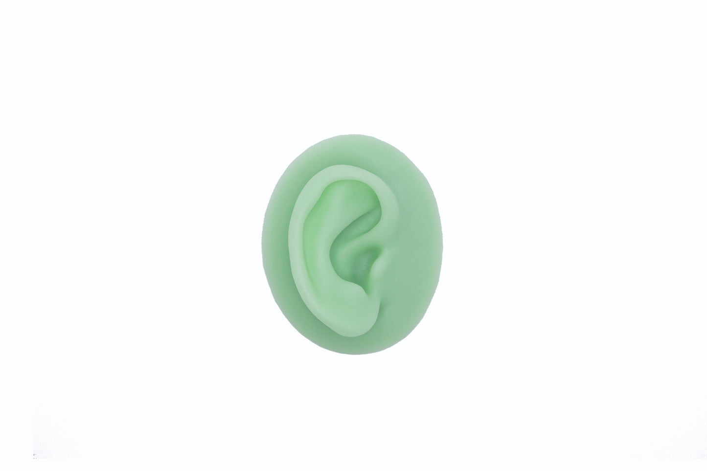 human ear