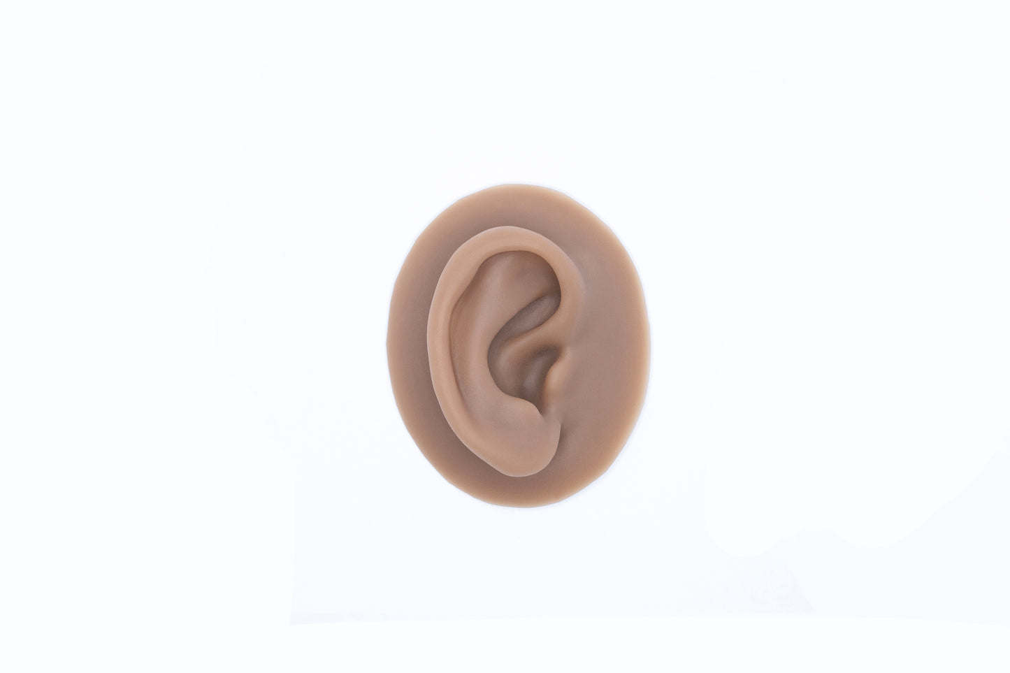 human ear