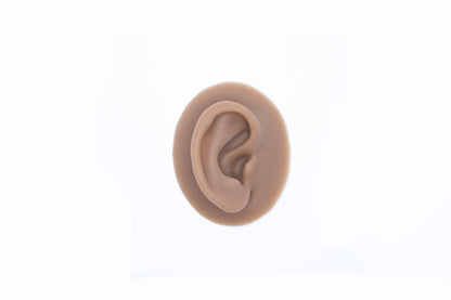 human ear