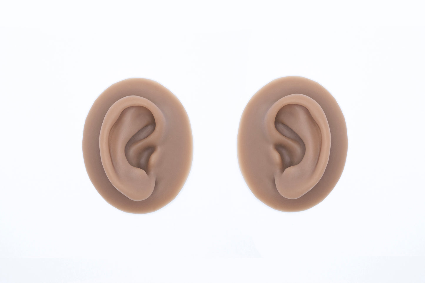 human ear