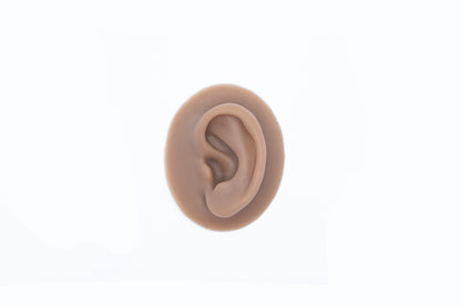 human ear