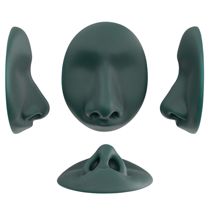 the deviated septum