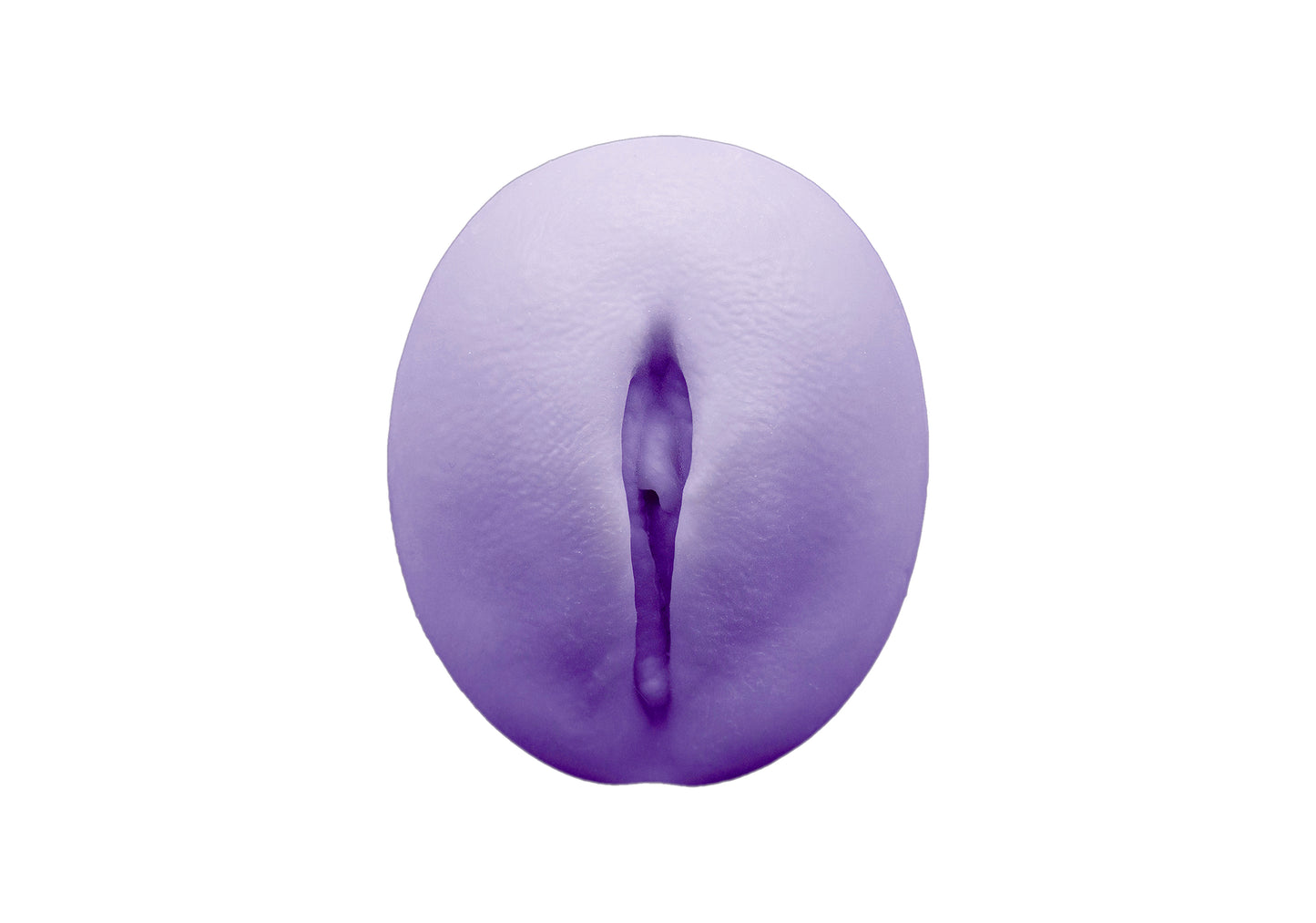 vulva 2