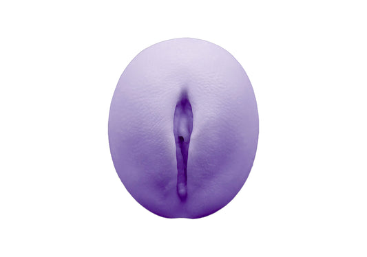 vulva 2