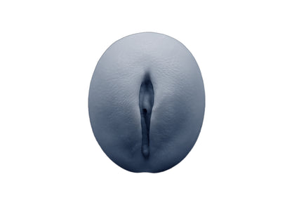 vulva 2