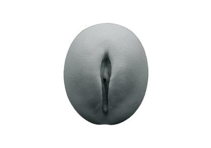 vulva 2