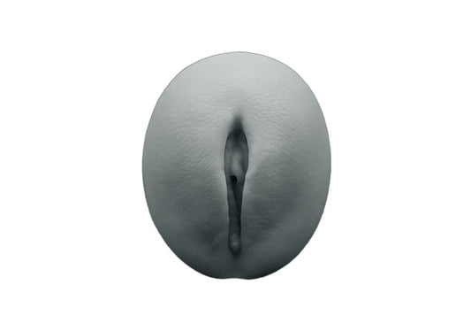 vulva 2