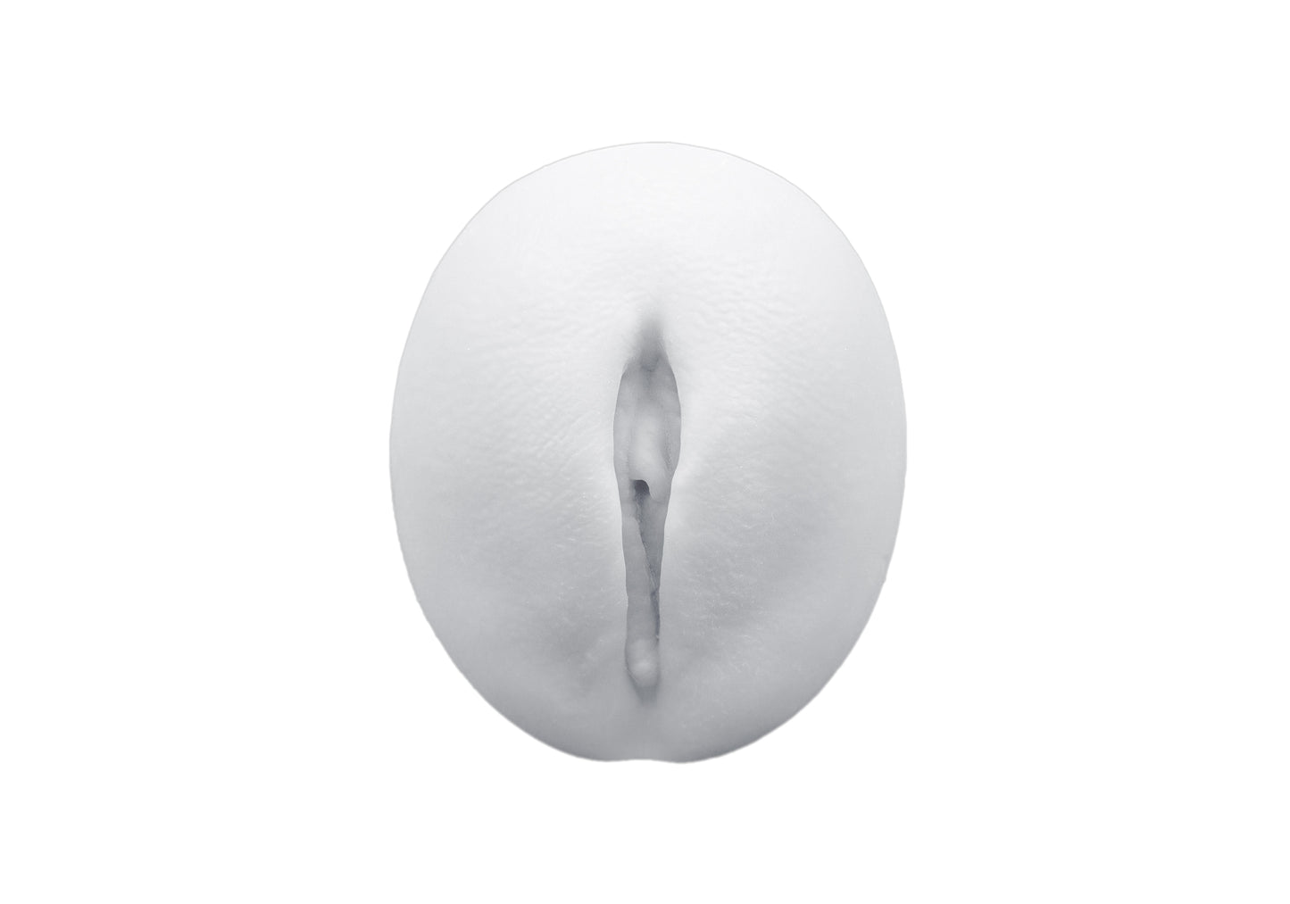 vulva 2