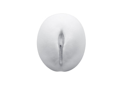 vulva 2