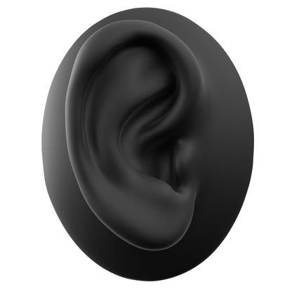 human ear