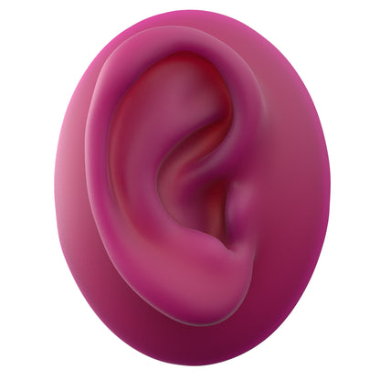 human ear