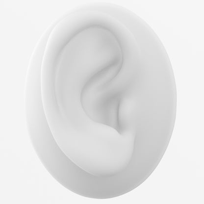 human ear
