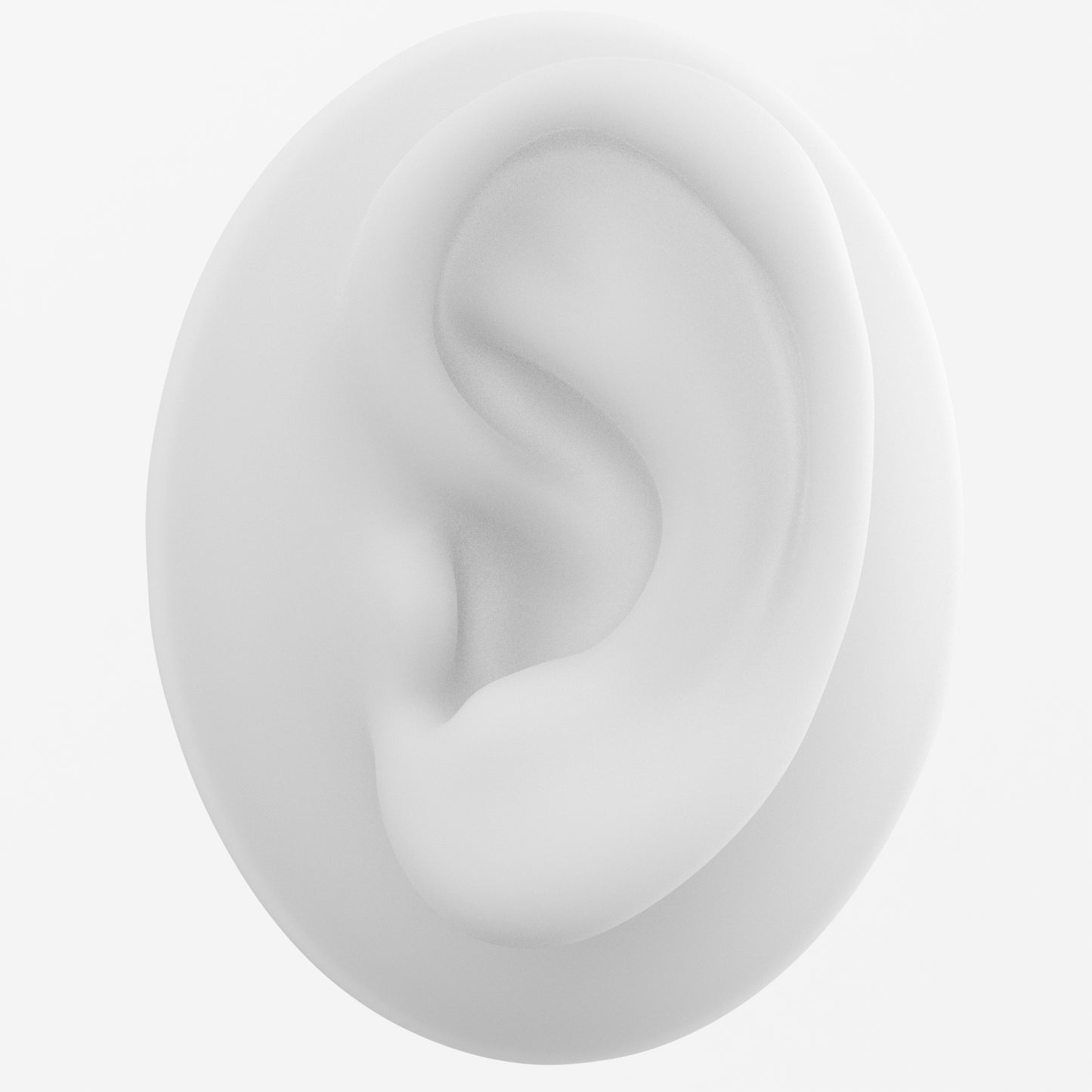 human ear