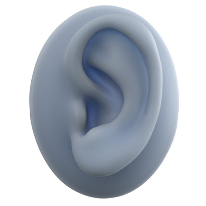 human ear