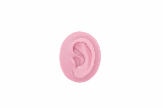 human ear