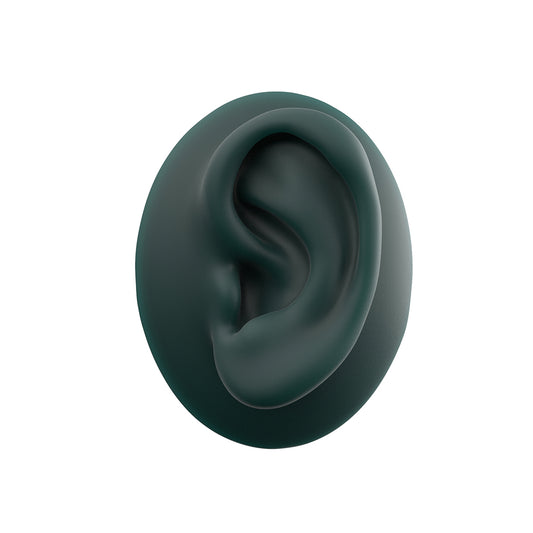 human ear