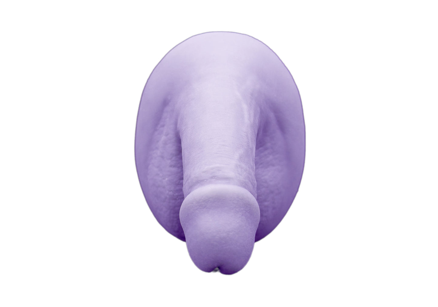 circumcised penis