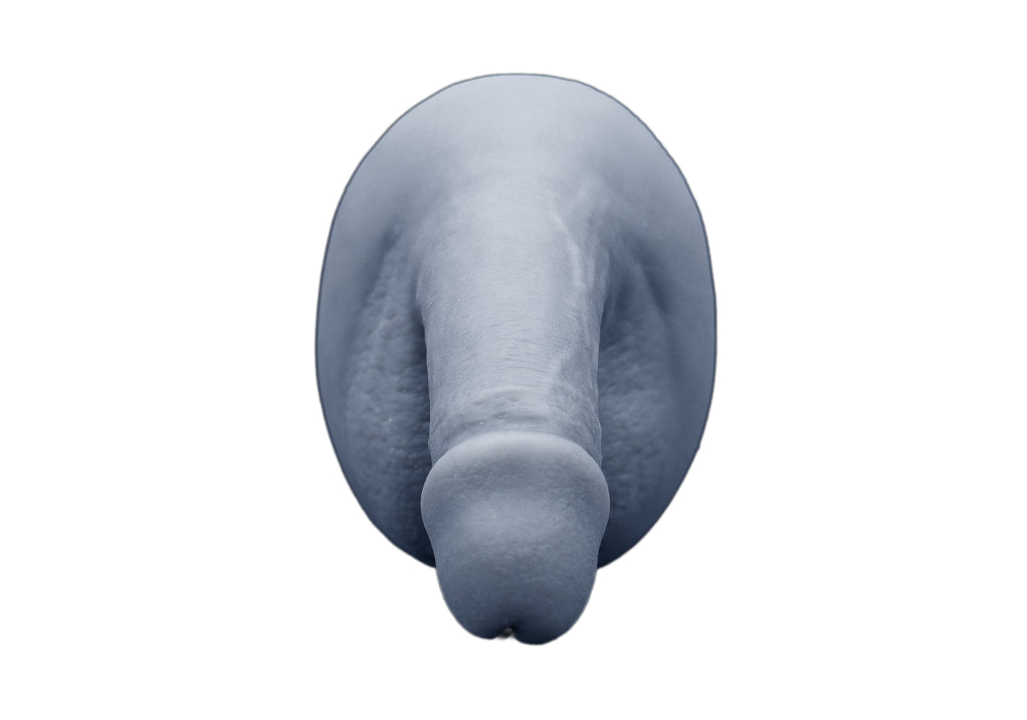 circumcised penis