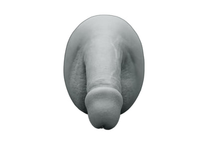circumcised penis