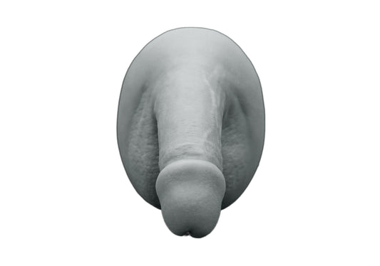 circumcised penis