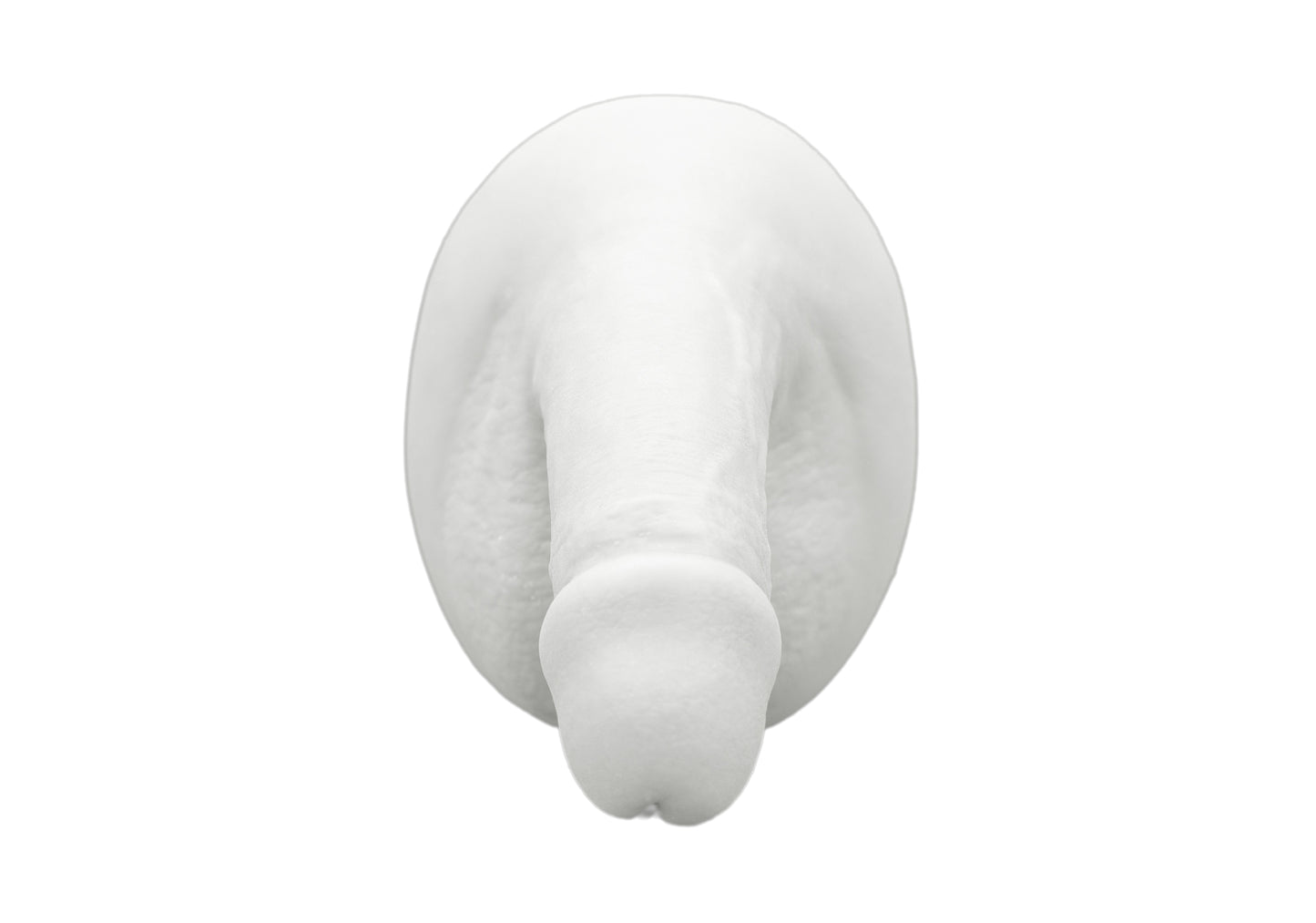 circumcised penis
