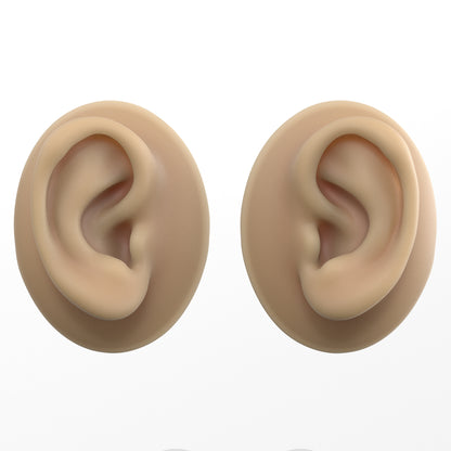 human ear