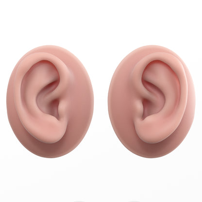 human ear