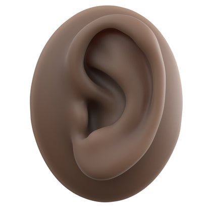 human ear