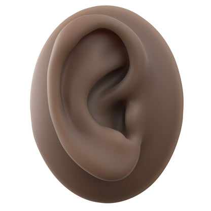 human ear