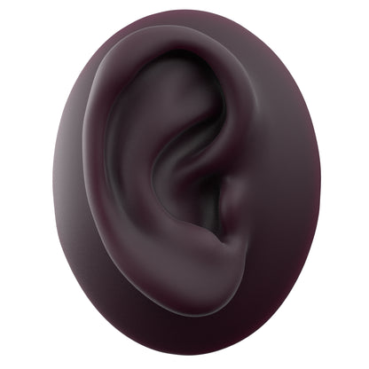 human ear